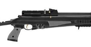 Hatsan AT44-10 — PCP Air Rifle & UK Specs
